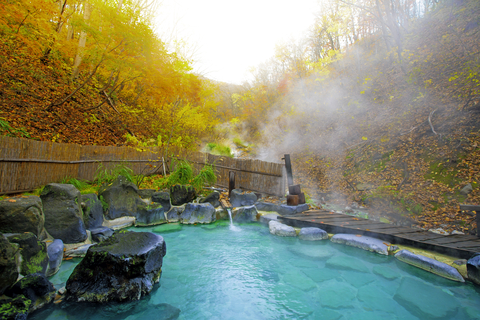 Hot Spring Onsen Bad in Japan