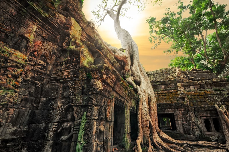 Tour Image