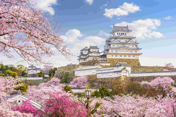 Tour Image