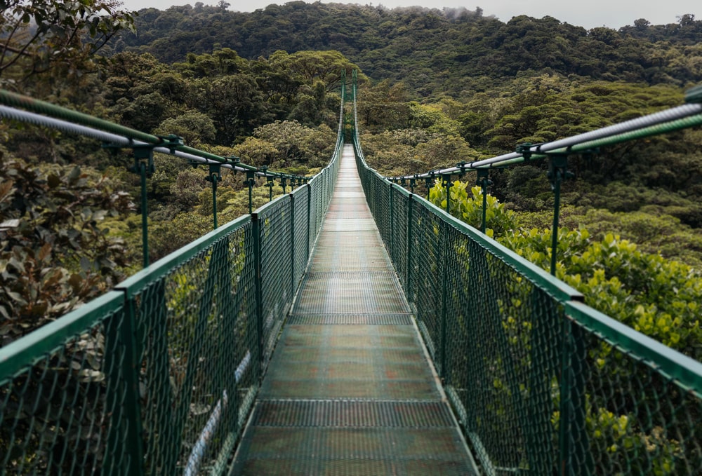 Tour Image