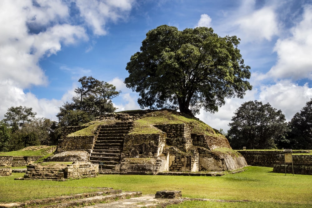 Tour Image