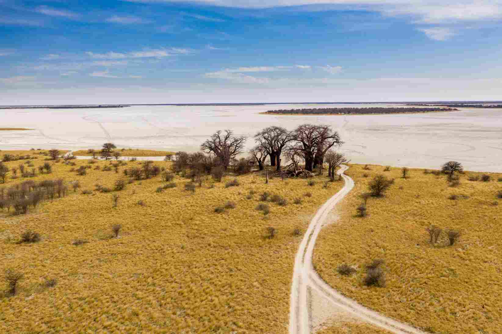 Weite Landschaft des Nxai Pan Nationalparks in Botswana
