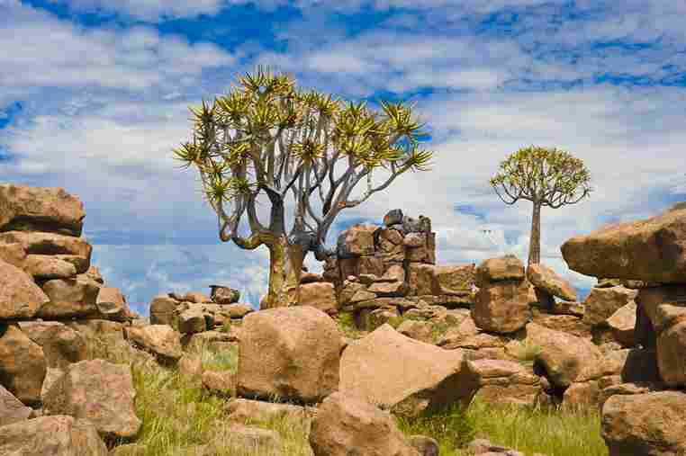 Faszinierende Felsformationen und Köcherbäume in der Steinwüste, Namibia