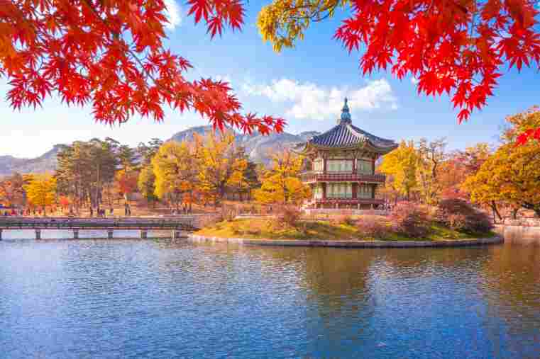 Herbstliche Szene mit dem Gyeongbokgung Palast und bunten Ahornblättern, Seoul